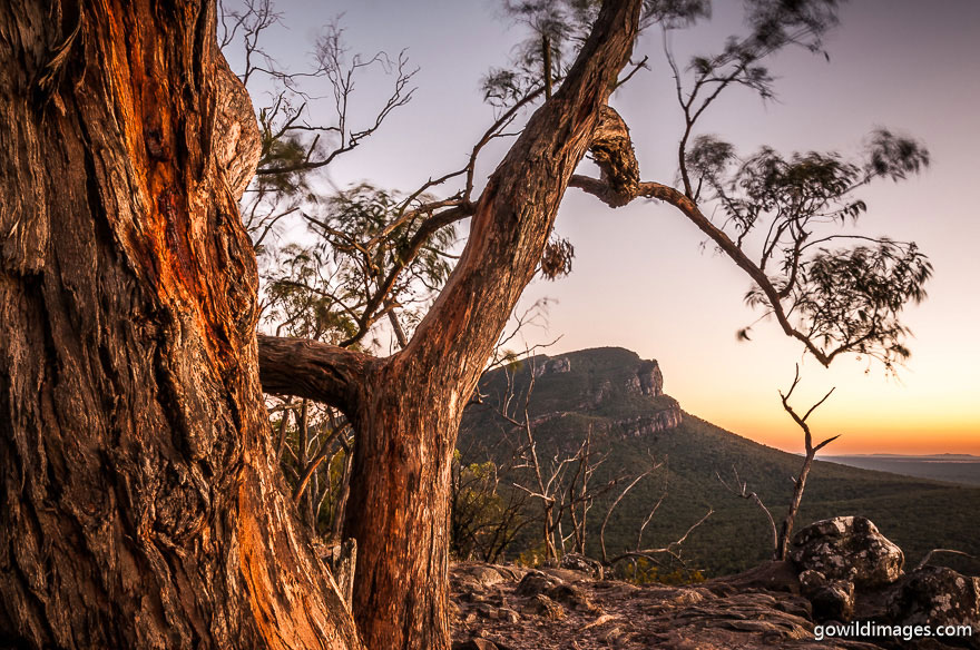 Grampians