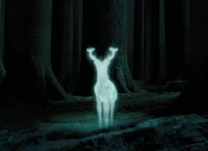 In The Movies, Nobody Ever Tells Harry That His Dad Could Turn Into A Stag