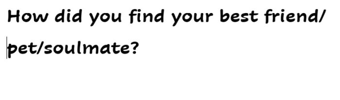 Here's A Little Quiz To Do If You're Bored :)