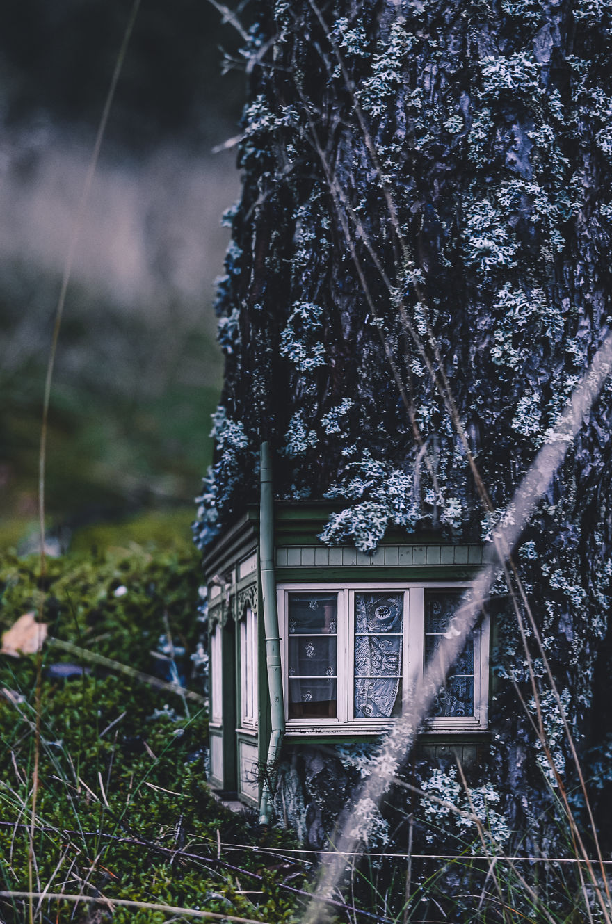 Hi! I'm Marcelina, And I Build Houses