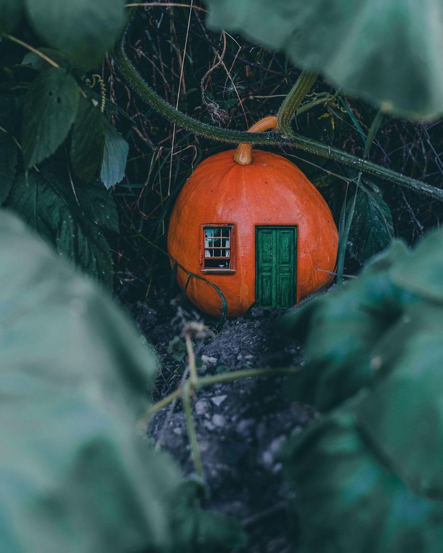 Hi! I'm Marcelina, And I Build Houses