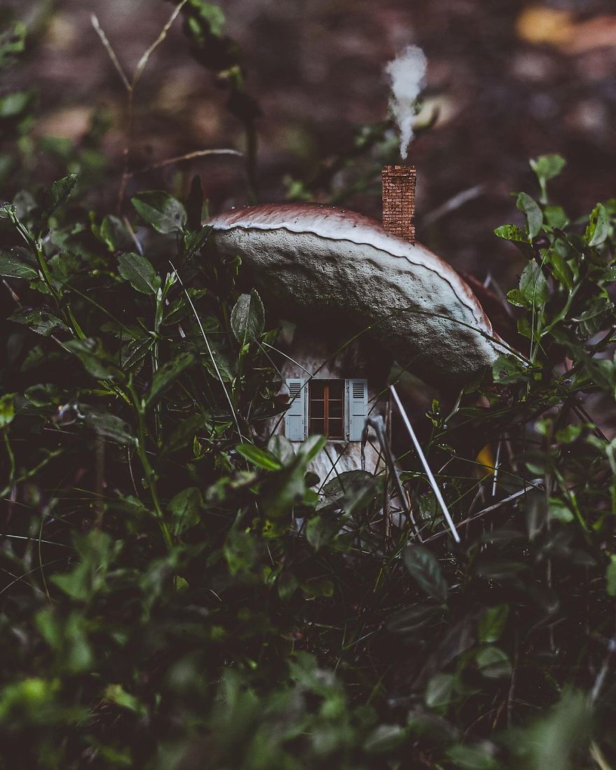 Hi! I'm Marcelina, And I Build Houses