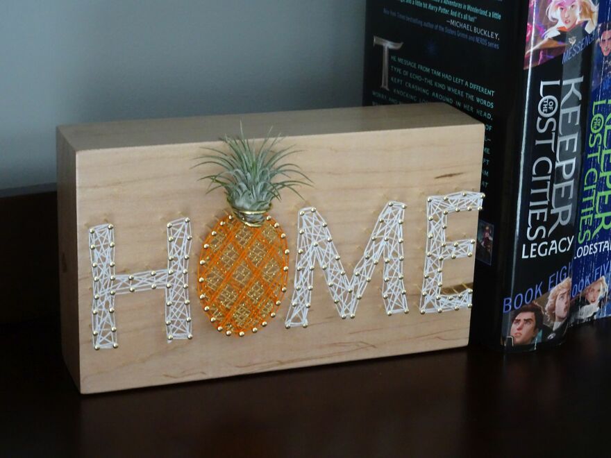 Freaking Adorable Air Plant Holders