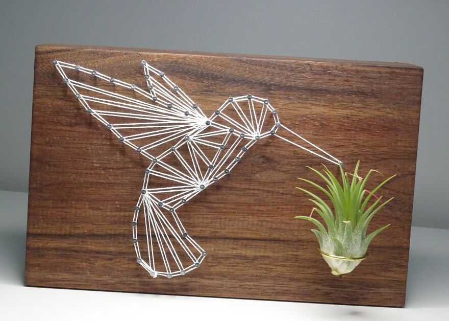 Freaking Adorable Air Plant Holders