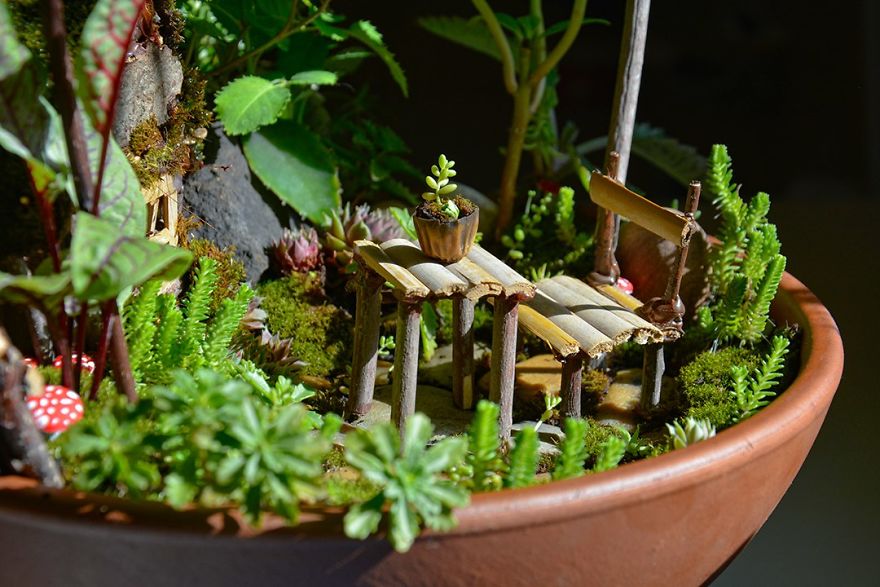 I Started Making Tiny Gardens At Home To Relax From My Everyday Job (28 Pics) I Started Making Tiny Gardens At Home To Relax From My Everyday Job (28 Pics)