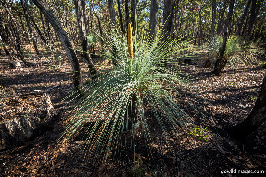 Brisbane Ranges