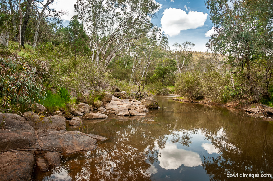 Chiltern-Mount Pilot