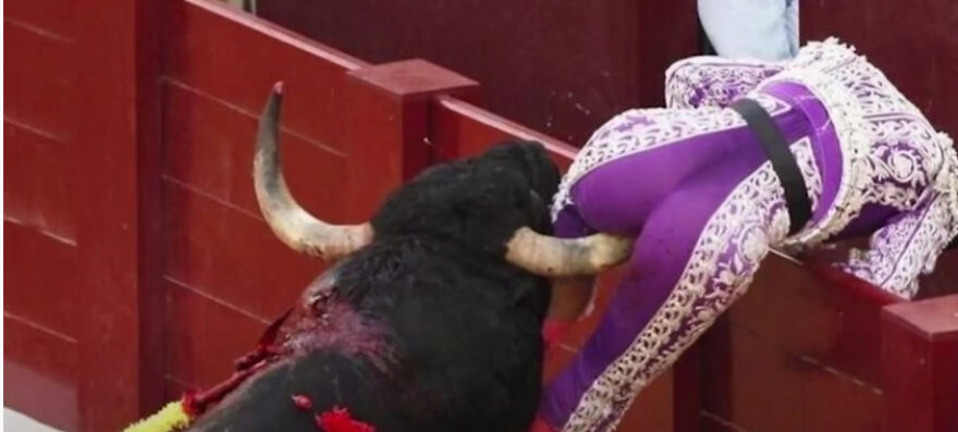 I Spent 6 Hours Browsing Reddit And Here Are The Best Posts