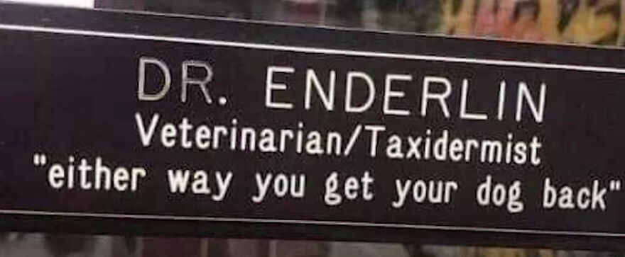 I Spent 6 Hours Browsing Reddit And Here Are The Best Posts