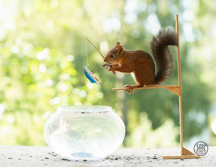 I Spent Almost A Decade Capturing Red Squirrel Photos And Here Is A Small Selection Of The Past Half Year.