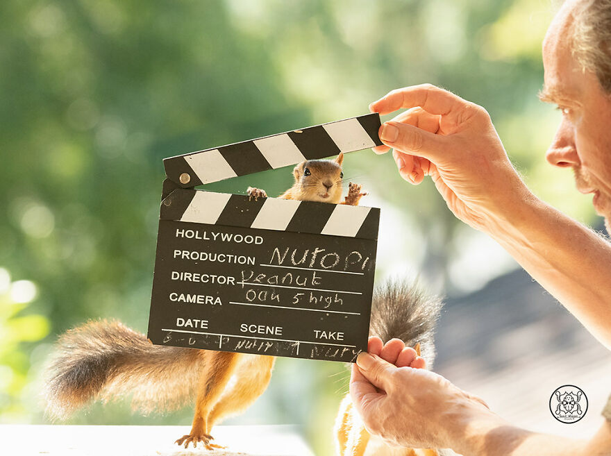 I Spent Almost A Decade Capturing Red Squirrel Photos And Here Is A Small Selection Of The Past Half Year.