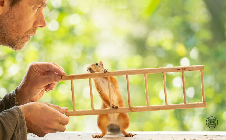 I Spent Almost A Decade Capturing Red Squirrel Photos And Here Is A Small Selection Of The Past Half Year.