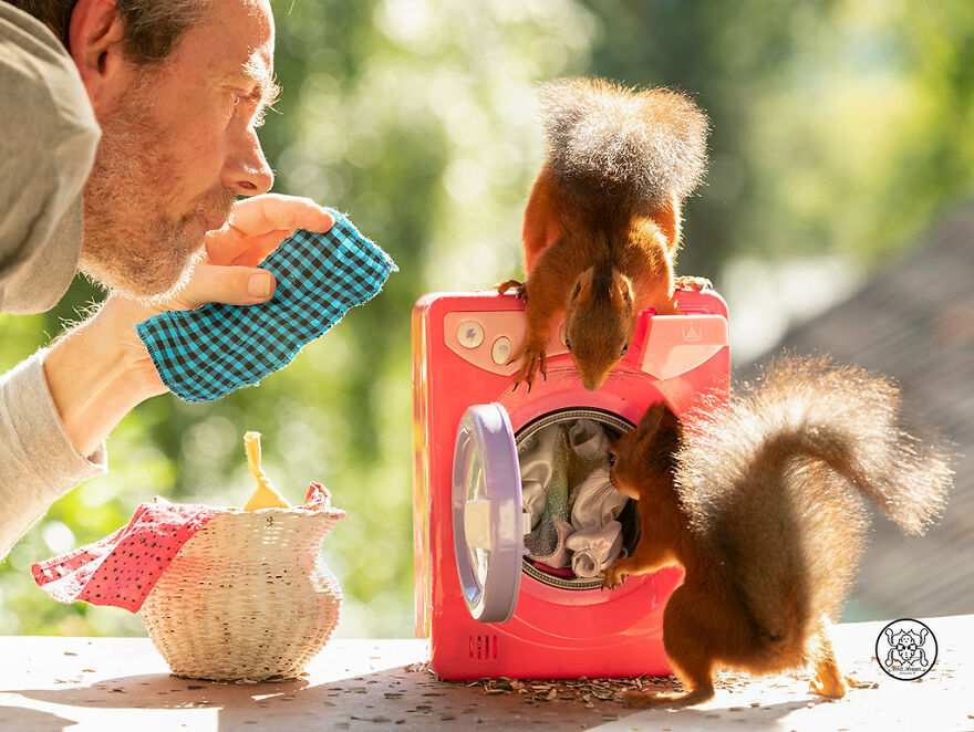 I Spent Almost A Decade Capturing Red Squirrel Photos And Here Is A Small Selection Of The Past Half Year.