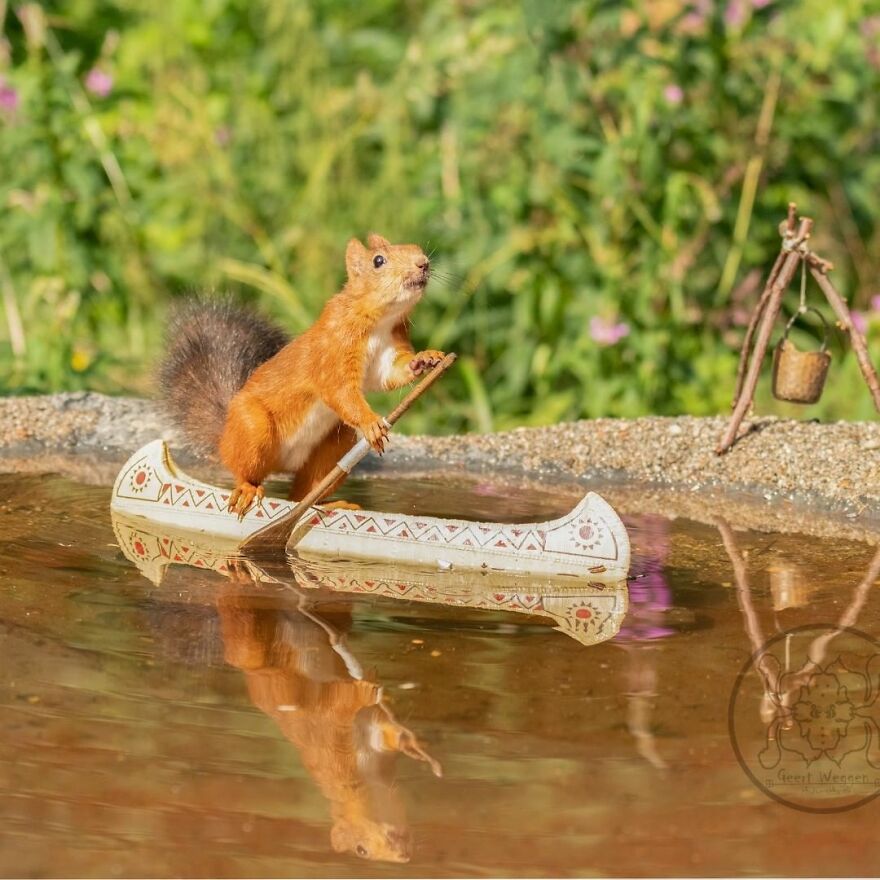 I Spent Almost A Decade Capturing Red Squirrel Photos And Here Is A Small Selection Of The Past Half Year.