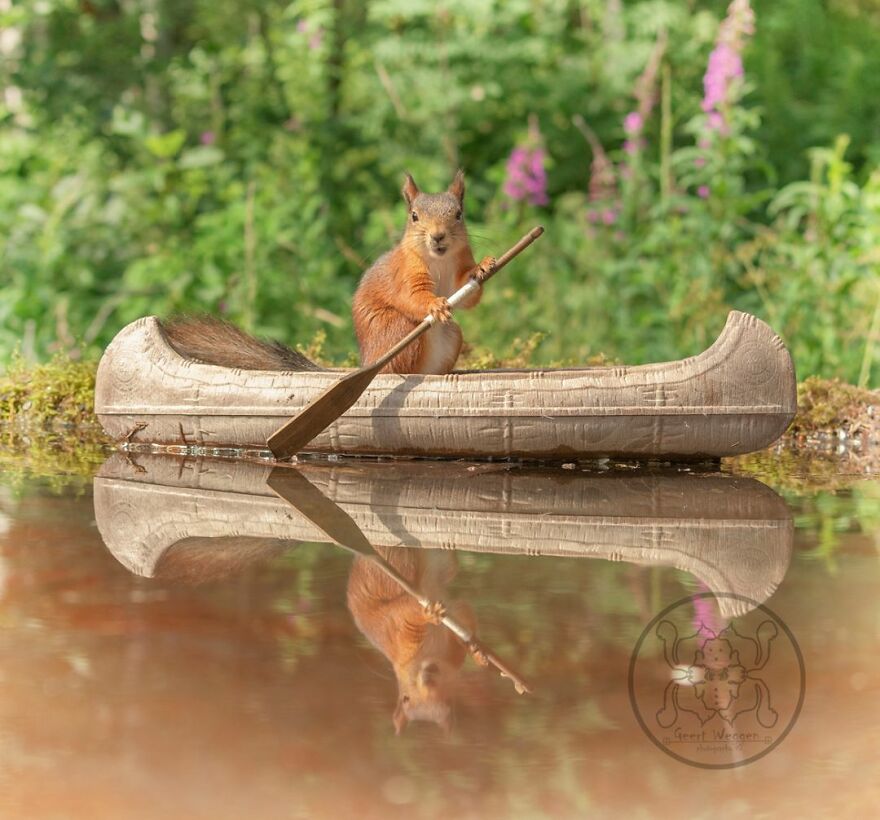 I Spent Almost A Decade Capturing Red Squirrel Photos And Here Is A Small Selection Of The Past Half Year.