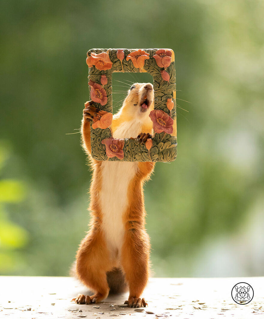 I Spent Almost A Decade Capturing Red Squirrel Photos And Here Is A Small Selection Of The Past Half Year.