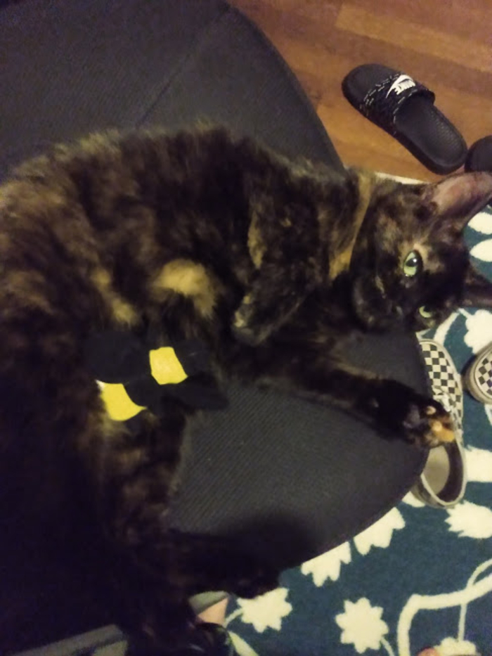 Hazel Loves This Chair