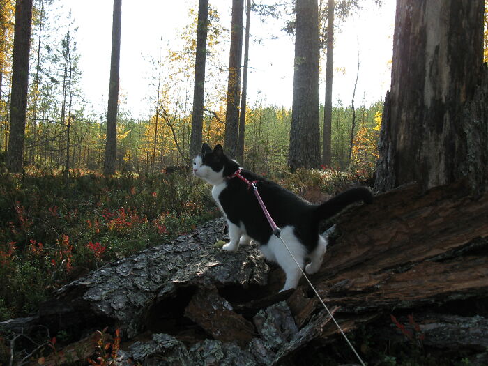 This Is Minttu, She Loves Travelling And Outdoorsy Adventures