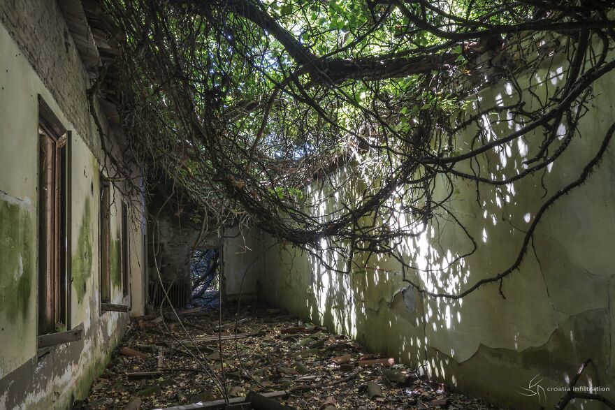 My Friends And Me Filmed A Documentary About The Abandoned And "Haunted" Poveglia Island In The Venetian Lagoon. My Friends And Me Filmed A Documentary About The Abandoned And "Haunted" Poveglia Island In The Venetian Lagoon.