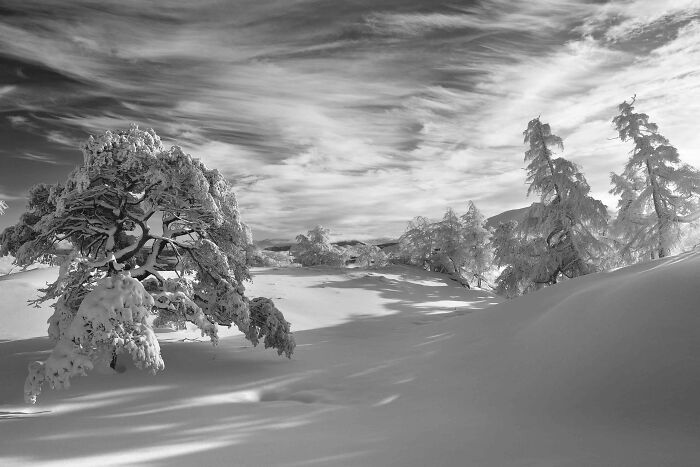 Black And White Commended: Ian Biggs, 'Deep Winter', Perth And Kinross