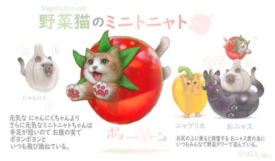 Tomato Cat