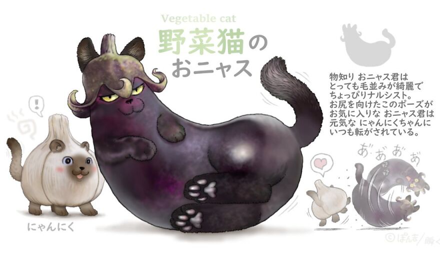 Eggplant Cat