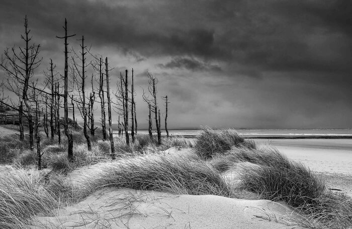 Black And White Commended: Keith Truman, 'Newborough Storm', Anglesey