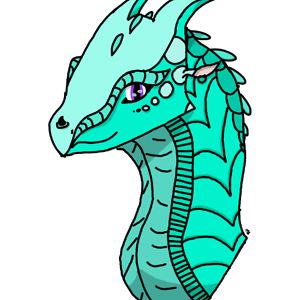 evikholinthequeen avatar