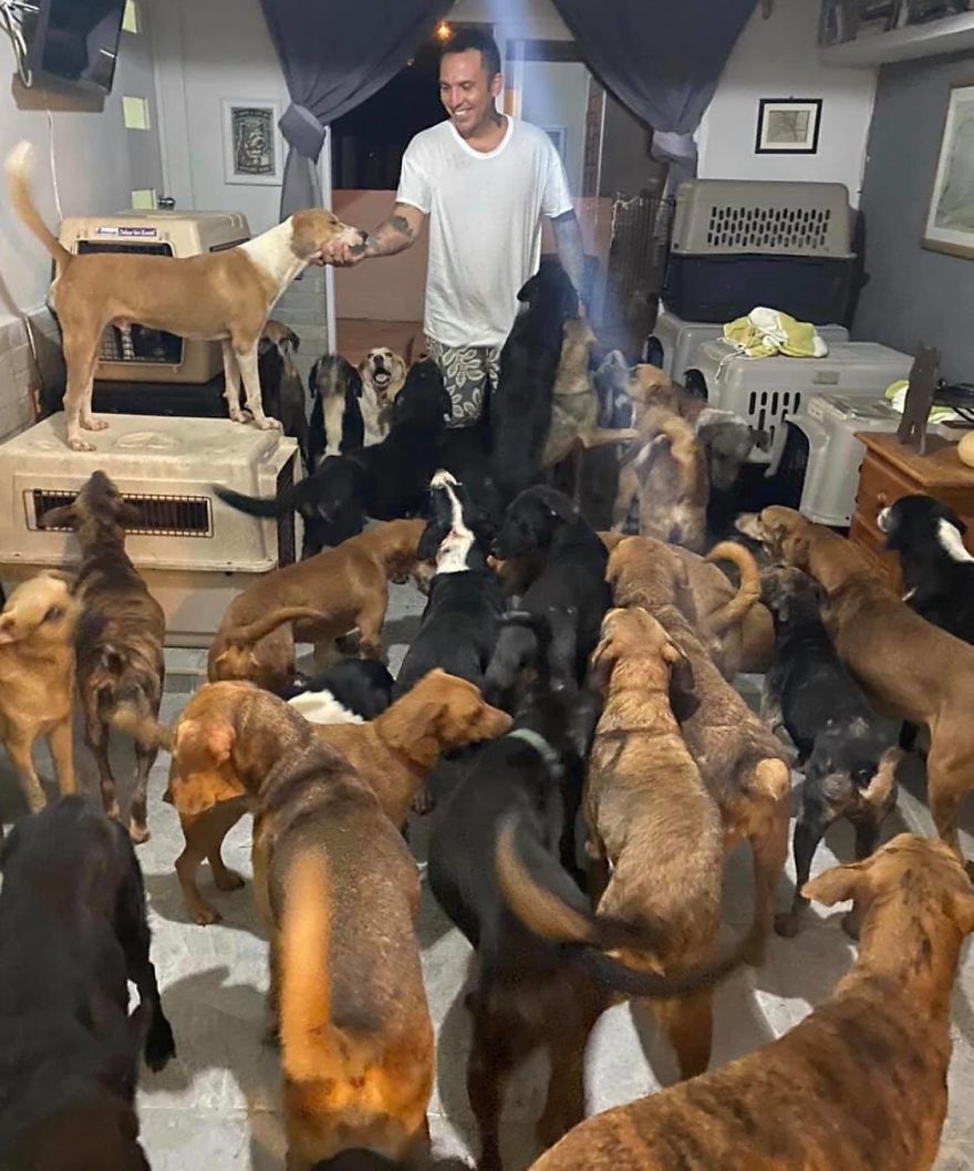  Man Brings 300 Stray Animals To His Home, Protects Them From Hurricane Delta