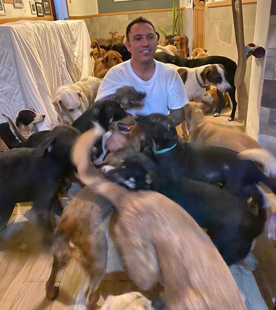  Man Brings 300 Stray Animals To His Home, Protects Them From Hurricane Delta