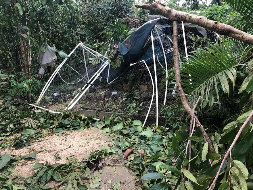  Man Brings 300 Stray Animals To His Home, Protects Them From Hurricane Delta