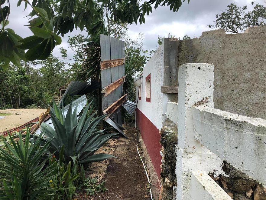  Man Brings 300 Stray Animals To His Home, Protects Them From Hurricane Delta