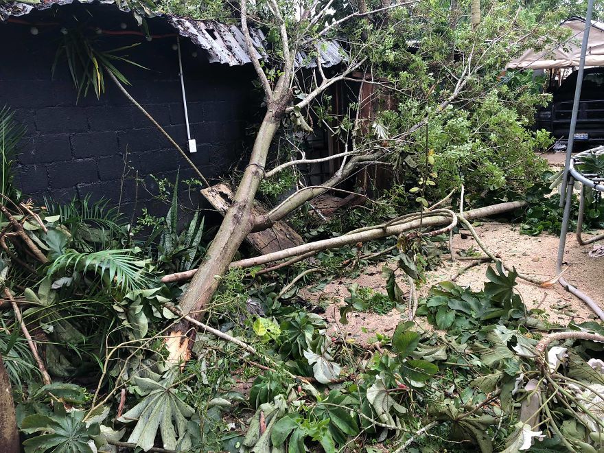 Man Brings 300 Stray Animals To His Home, Protects Them From Hurricane Delta Man Brings 300 Stray Animals To His Home, Protects Them From Hurricane Delta