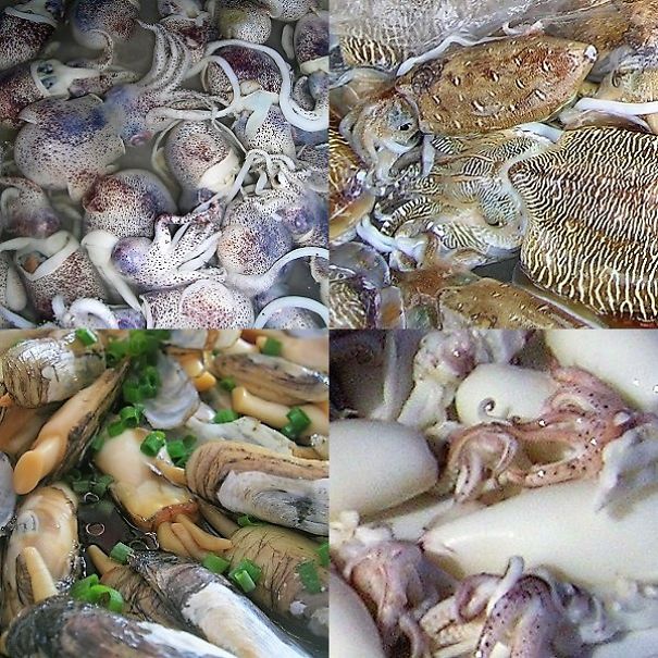 I Picture Food Texture To Remember Routine's Beauty