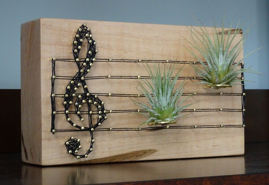 Freaking Adorable Air Plant Holders