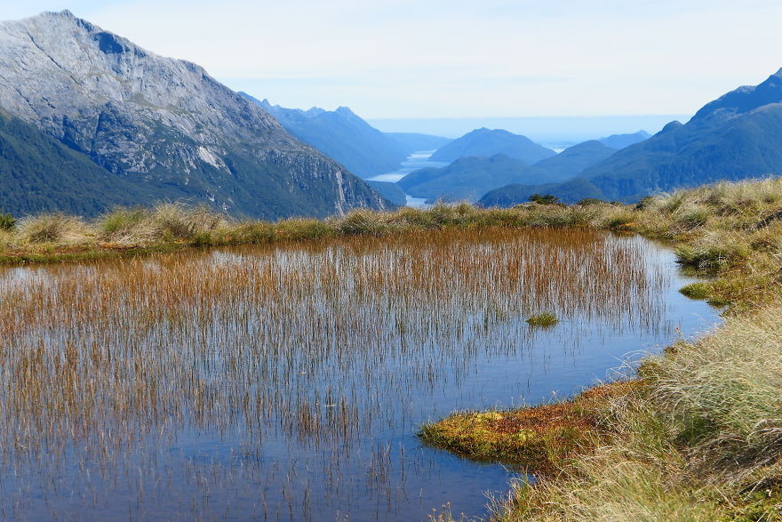 After Getting Stranded In New Zealand, We Decided To Walk, Cycle, And Canoe The Length Of The Country And We Are Halfway Through (32 Pics)