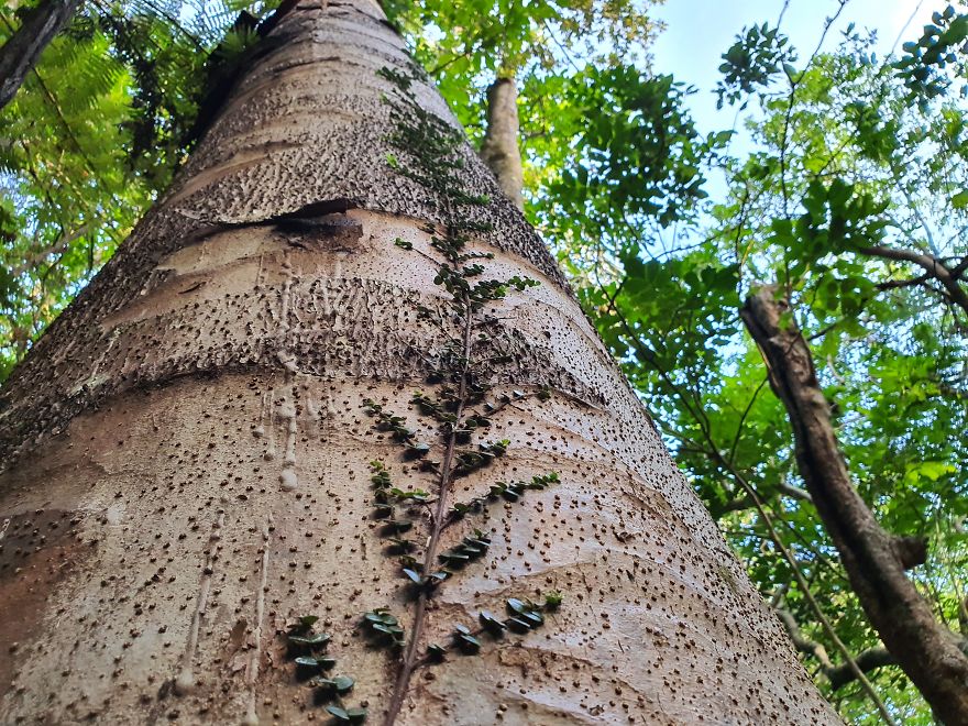 After Getting Stranded In New Zealand, We Decided To Walk, Cycle, And Canoe The Length Of The Country And We Are Halfway Through (32 Pics)