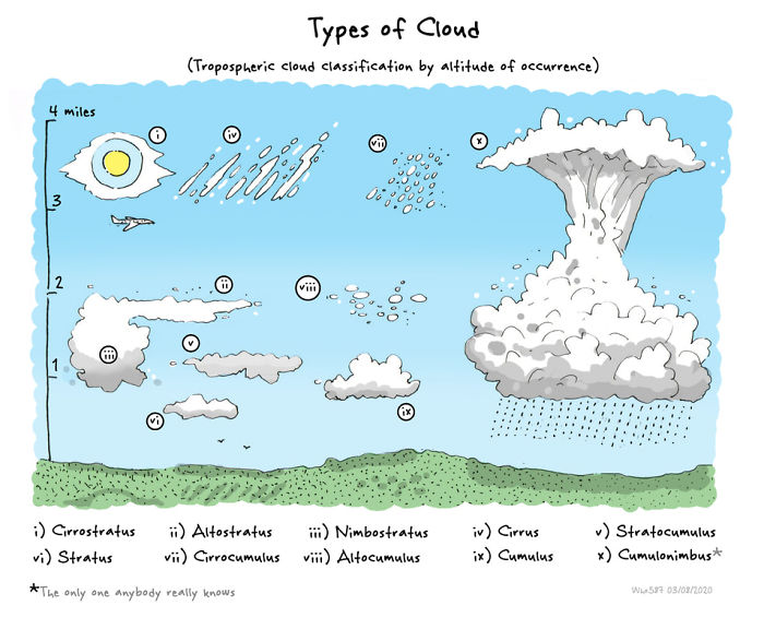 Numbers 1 To 40 Of My 100 Cartoons Drawn During Lockdown 2020