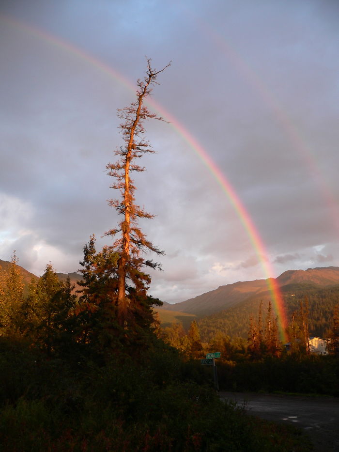 Anchorage, Ak W130th St Sign Visible Looking Toward South Suicide Peak.