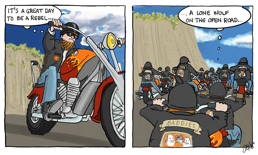 Lone Wolf On The Open Road