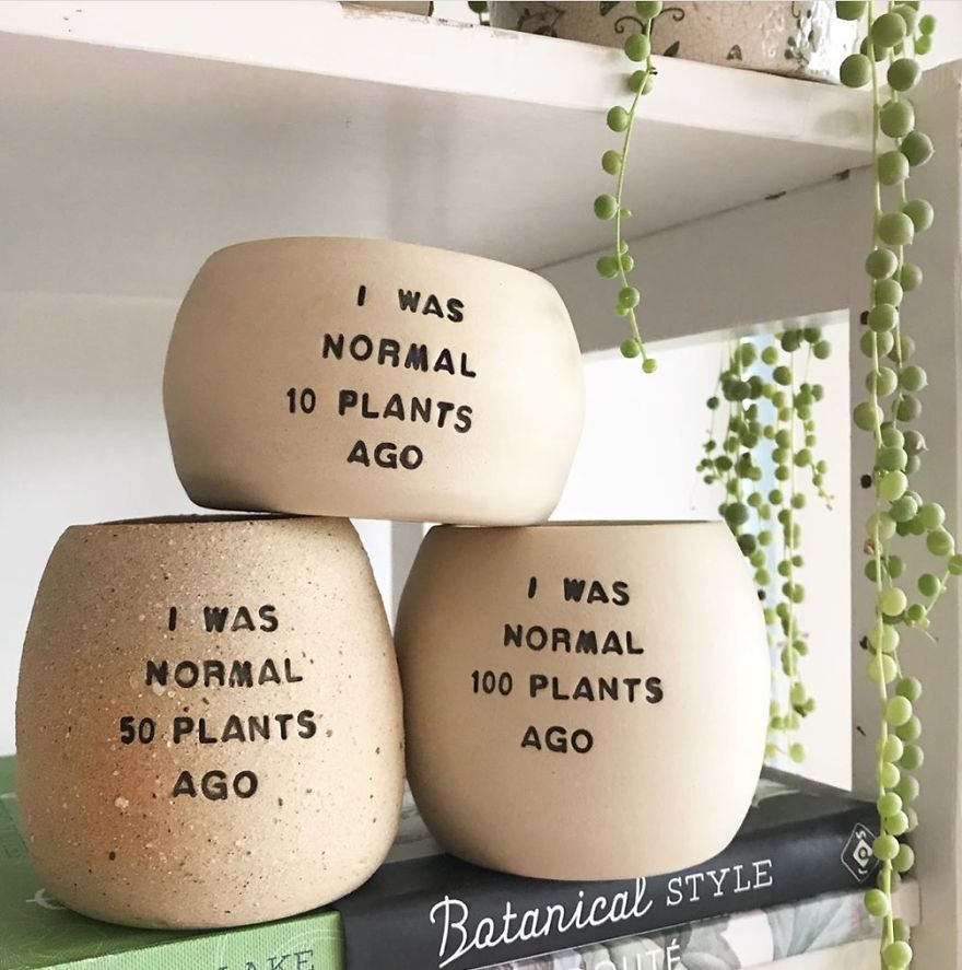 If Plants Could Talk, This Is What They'd Say...