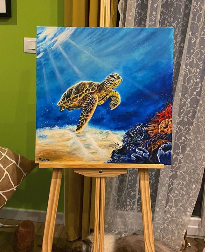 Oh Life Under The Sea