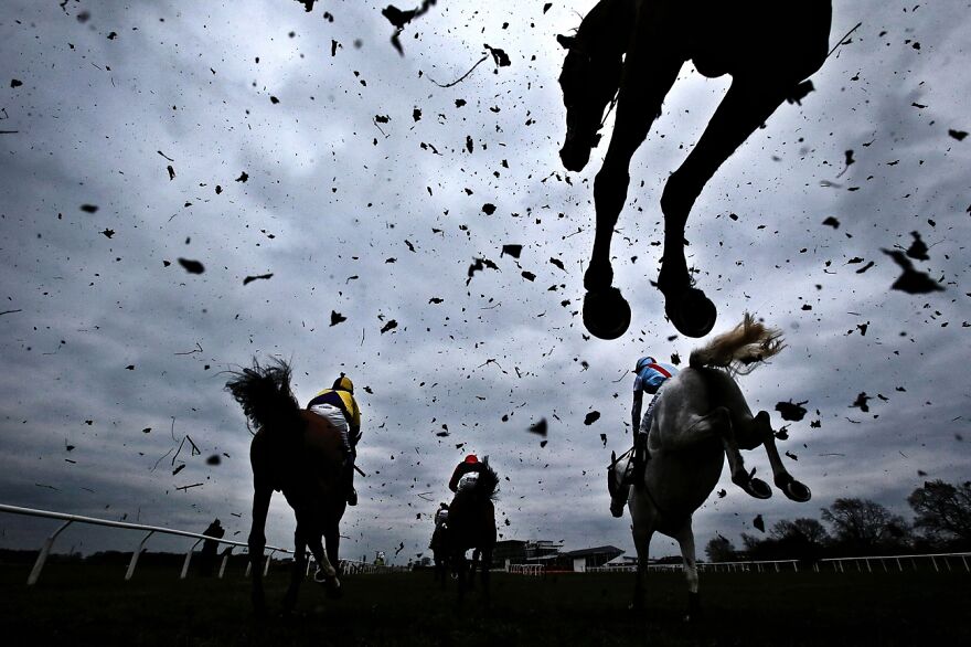 Last Fence From Home (Honorable Mention In Sports In Action Category)