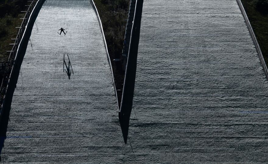 Flight Show (Remarkable Artwork In Sports In Action Category)