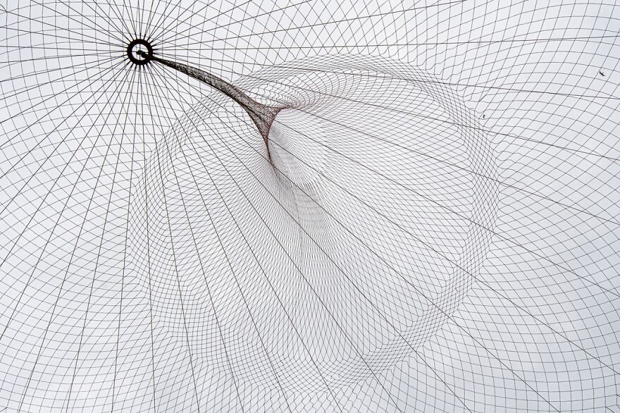 The Net And The Gull (Honorable Mention In Architecture & Urban Spaces Category)
