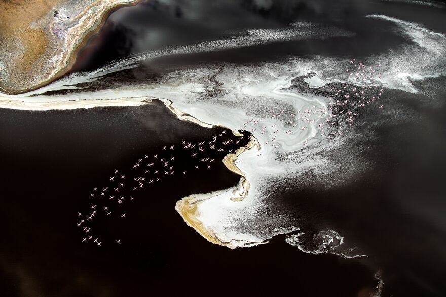 Unseen Colors (Honorable Mention In The Beauty Of Nature Category)