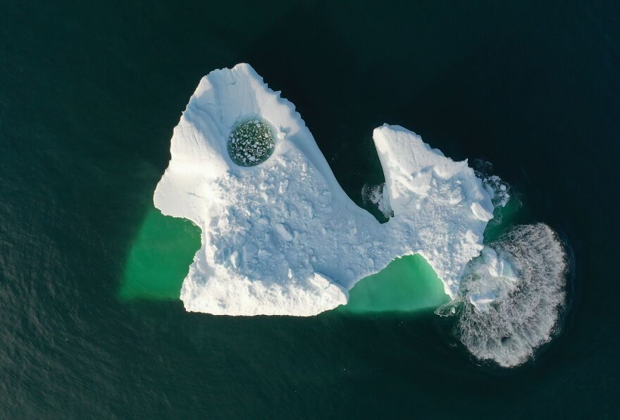Arctic Fish (Remarkable Artwork In The Beauty Of Nature Category)