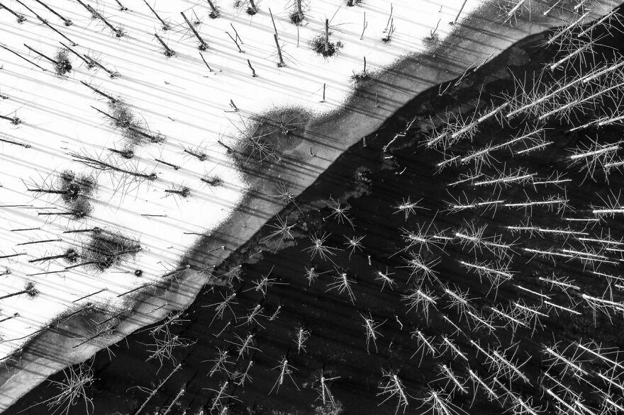 Yin And Yang (Remarkable Artwork In The Beauty Of Nature Category)