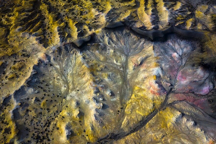 Oasis (Remarkable Artwork In The Beauty Of Nature Category)