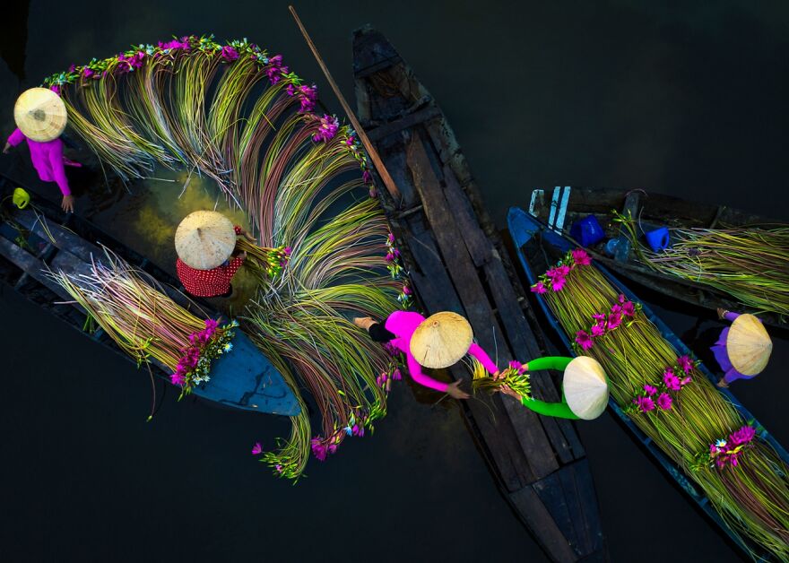 Waterlilies Harvesting Season (Honorable Mention In Journeys & Adventures Category)